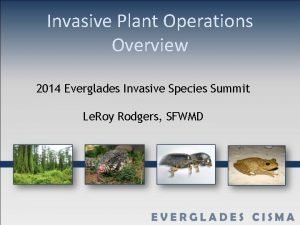 Invasive Plant Operations Overview 2014 Everglades Invasive Species