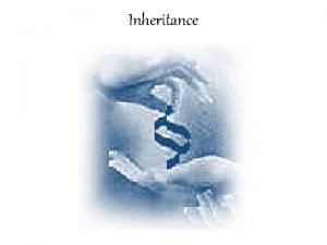 Inheritance Chapter 7 Inheritance the way genes are