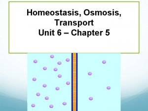 Osmosis water and salt