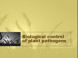 Biological control of plant pathogens What is biological