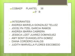 Cobaep plantel 36