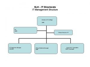 SLH IT Directorate IT Management Structure Director of