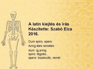 Amíg élek remélek latinul