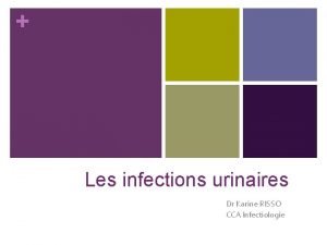 Les infections urinaires Dr Karine RISSO CCA Infectiologie