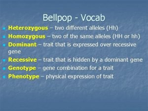 Bellpop Vocab n n n Heterozygous two different