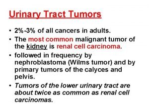 Urinary Tract Tumors 23 of all cancers in