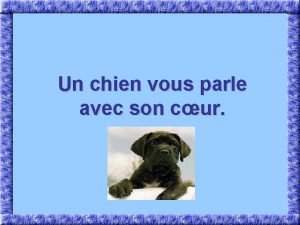 Un chien vous parle avec son cur Comment