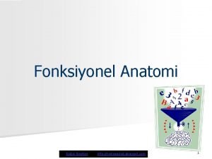 Anatomi slaytları