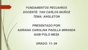 FUNDAMENTOS PECUARIOS DOCENTE YAN CARLOS MUOZ TEMA ANGLETON