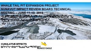 SUMMARY OF TECHNICAL COMMENTS CUMULATIVE EFFECTS Technical comments SUMMARY OF TECHNICAL COMMENTS CUMULATIVE EFFECTS Technical comments