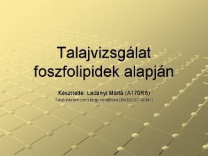 Talajvizsglat foszfolipidek alapjn Ksztette Ladnyi Mrta A 170