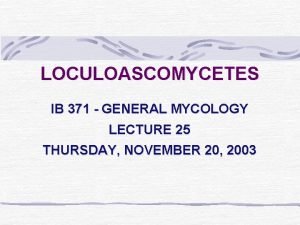 LOCULOASCOMYCETES IB 371 GENERAL MYCOLOGY LECTURE 25 THURSDAY