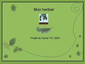 Mon herbier Projet du Camp TIC 2004 La