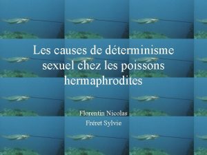 Les causes de dterminisme sexuel chez les poissons