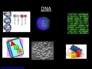 DNA Structure Video Clip DNA Deoxyribonucleic acid Type