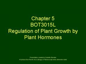 Chapter 5 BOT 3015 L Regulation of Plant