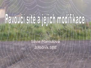 Silvie Mamulov 3 ronk SBE Pvod a evoluce