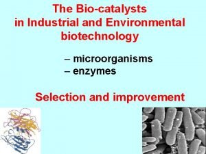 The Biocatalysts in Industrial and Environmental biotechnology microorganisms