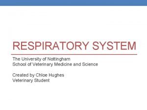 RESPIRATORY SYSTEM The University of Nottingham School of