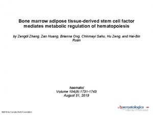 Bone marrow adipose tissuederived stem cell factor mediates