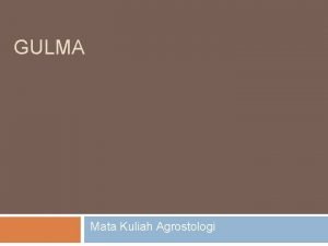 GULMA Mata Kuliah Agrostologi GULMA MERUPAKAN TUMBUHAN YANG