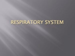 RESPIRATORY SYSTEM Respiratory System Includes the nasal cavity