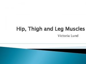 Hip and leg muscles
