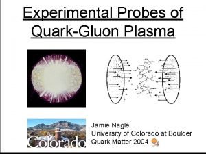 Experimental Probes of QuarkGluon Plasma Jamie Nagle University