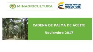 CADENA DE PALMA DE ACEITE Noviembre 2017 Principales