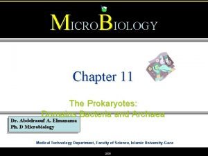 Microbiology chapter 11