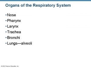 Pharynx and larynx and trachea