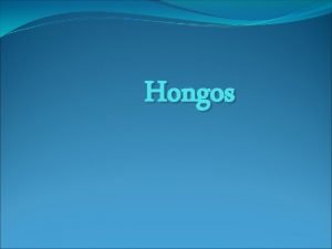 Hongos Introduccin Poseen clula eucariota Van desde levaduras