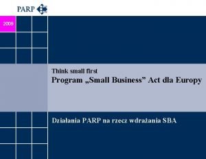 2009 Think small first Program Small Business Act