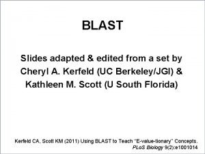 BLAST Slides adapted edited from a set by