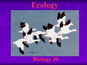 Ecology Biology 30 Ecology n n n Study