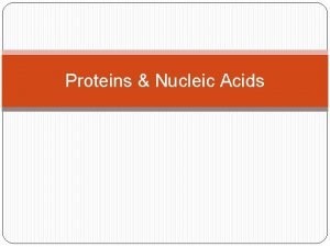 Proteins Nucleic Acids Protein Basics Contain C H