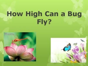 How high can a bug fly