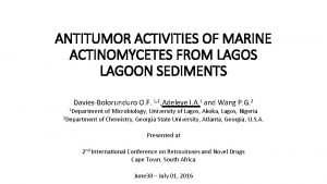 ANTITUMOR ACTIVITIES OF MARINE ACTINOMYCETES FROM LAGOS LAGOON