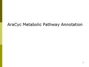 Ara Cyc Metabolic Pathway Annotation 1 Ara Cyc