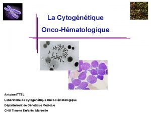 La Cytogntique OncoHmatologique Antoine ITTEL Laboratoire de Cytogntique