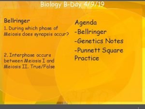 Biology BDay 4919 Bellringer 1 During which phase