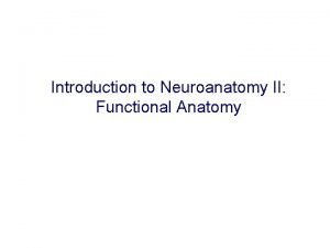 Introduction to Neuroanatomy II Functional Anatomy Regional neuroanatomy