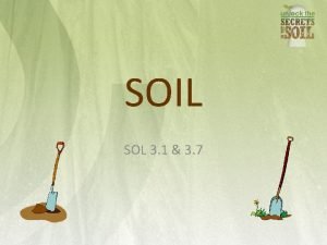 SOIL SOL 3 1 3 7 Soil provides