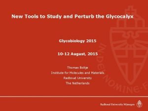 New Tools to Study and Perturb the Glycocalyx