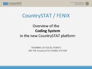 Country STAT FENIX Overview of the Coding System