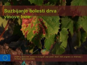 Suzbijanje bolesti drva vinove loze Projekt je financiran