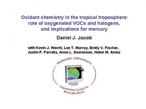 Oxidant chemistry in the tropical troposphere role of