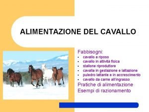 Alimentazione del cavallo