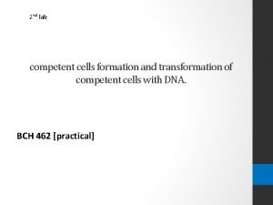 Chemical transformation