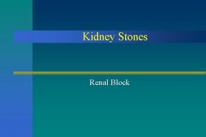 Kidney Stones Renal Block Objectives By the end
